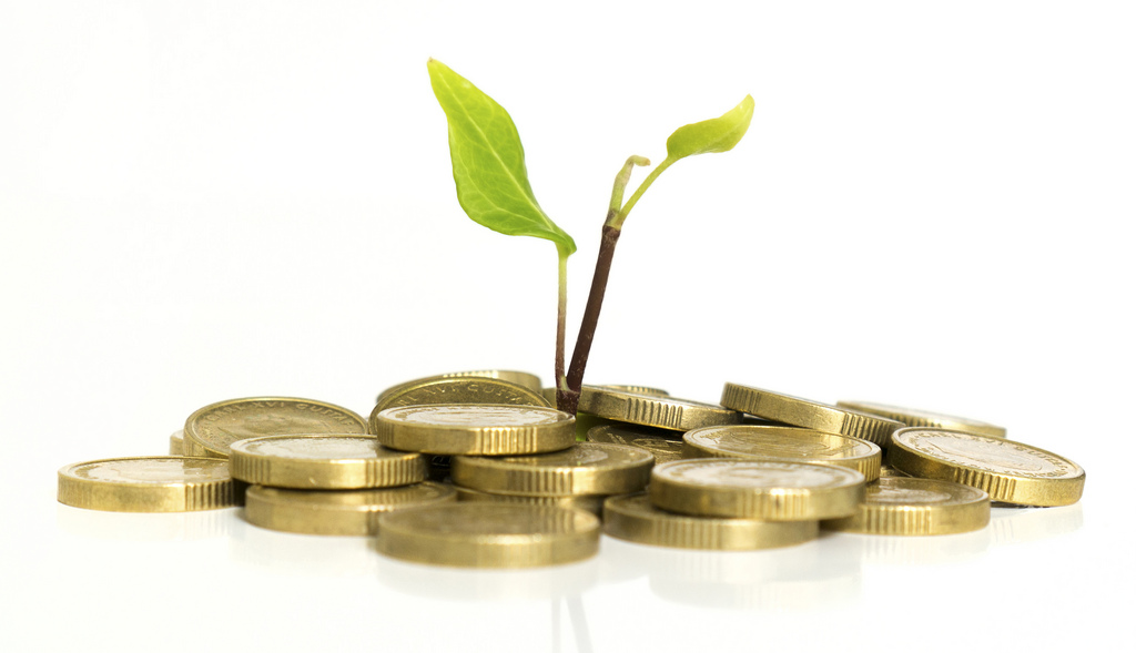 gold coins with plant growing out