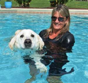 Dog Swimming