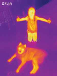 Emerald Coast Energy Solutions Thermal Imaging