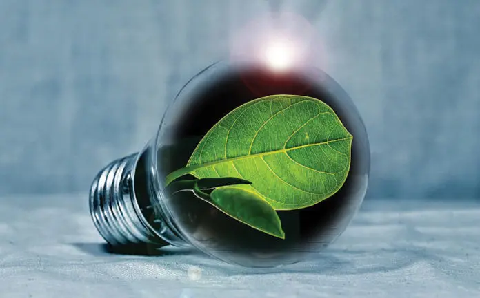 energy savings light bulb w leaf