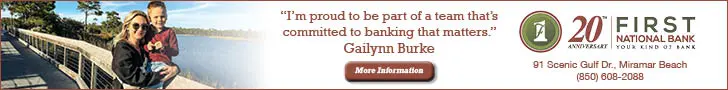FNB Gailynn Banner Ad 728x90
