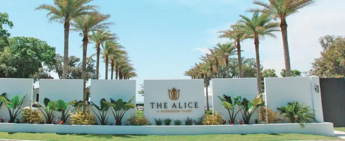 The Alice Destin