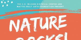 Biophilia MKAF Nature Rocks 2019