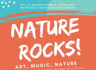 Biophilia MKAF Nature Rocks 2019