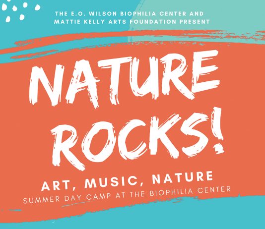 Biophilia MKAF Nature Rocks 2019