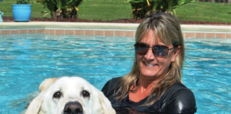 Dog Swimming