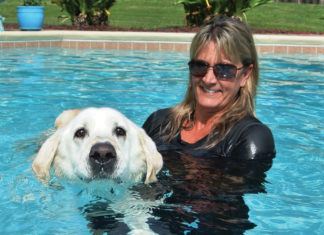 Dog Swimming