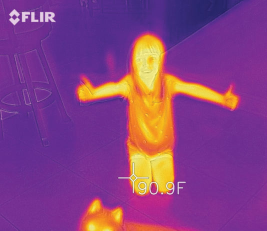 Emerald Coast Energy Solutions Thermal Imaging