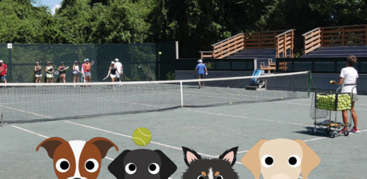 Raquets for Rescues