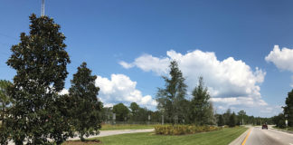 Scenic 331 Landscaping