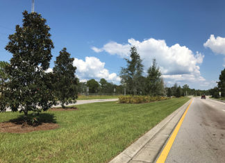 Scenic 331 Landscaping