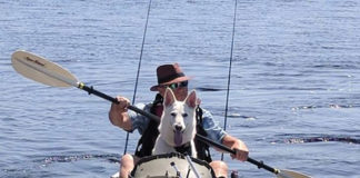 white dog