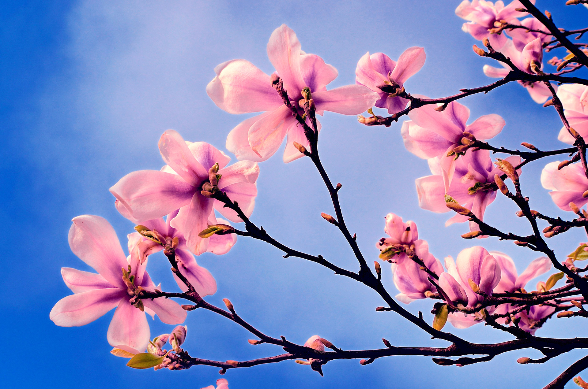 Spring Energy Tips
