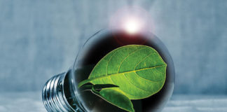 energy savings light bulb w leaf