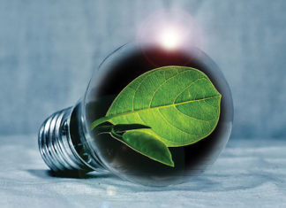 energy savings light bulb w leaf
