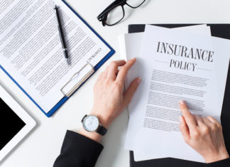 Business woman examining insurance policy