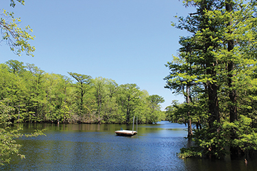 Choctawhatchee Bay