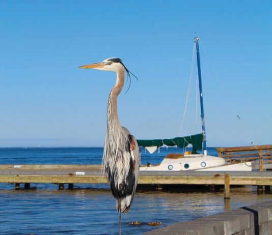 Choctawhatchee Bay