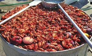 11th Annual Destin Rotary Cajun Crawfish Bash May 19