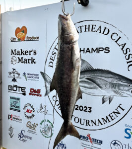 Off the Hook: Cobia Season is Back