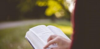 reading-in-the-park