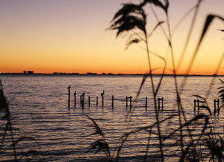Choctawhatchee sunset Walton County