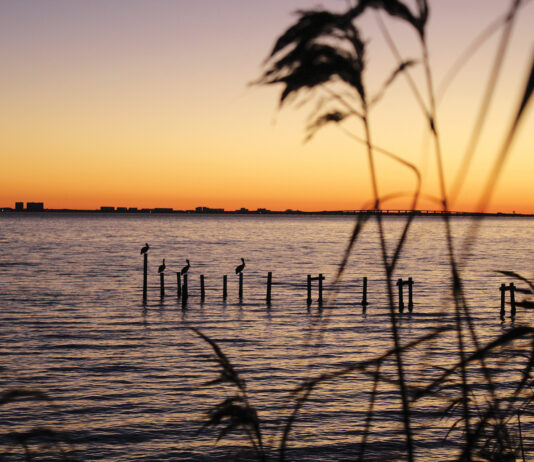 Choctawhatchee sunset Walton County