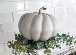 Interior Design Fall