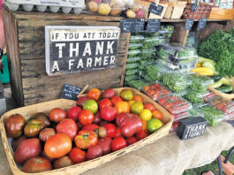 Baytowne Farmers Market