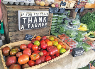 Baytowne Farmers Market