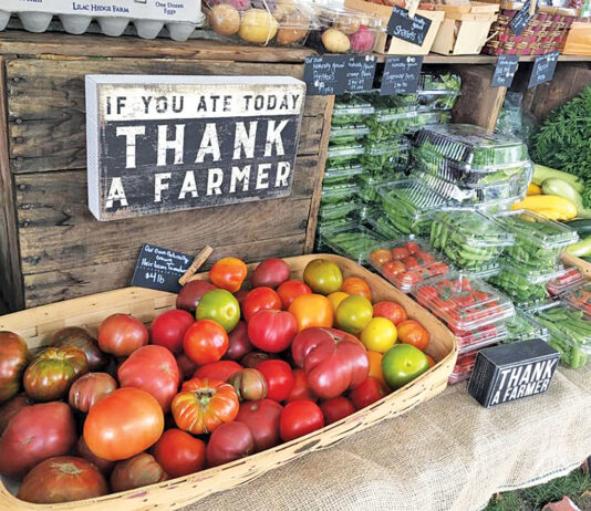 Baytowne Farmers Market