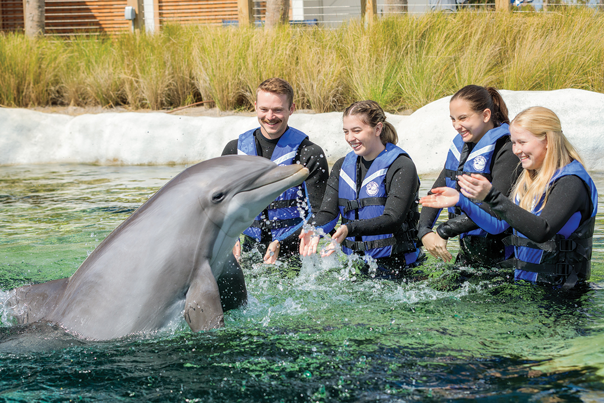 From Manatee Cove to CARE on the Coast: Dive into the Latest at Gulfarium