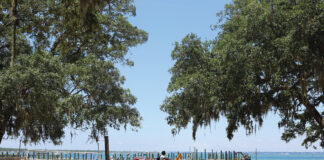 City of Destin Bicyclist