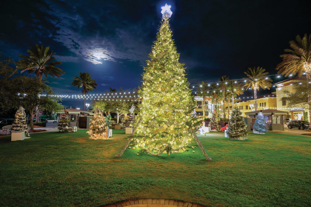 Grand Blvd Festival of Trees