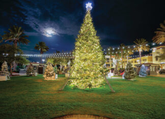 Grand Blvd Festival of Trees