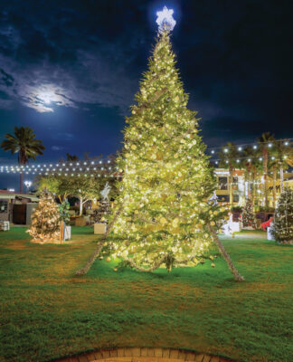 Grand Blvd Festival of Trees