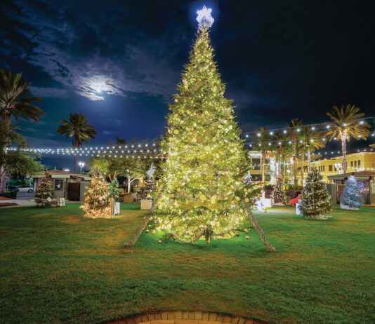 Grand Blvd Festival of Trees