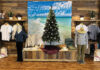 Blue Bay Lifestyle Mens Clothes and Tree