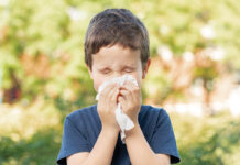 Allergic child sneezing covering nose