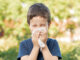 Allergic child sneezing covering nose