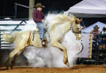 Westonwood Rodeo