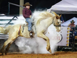 Westonwood Rodeo