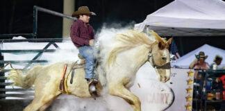 Westonwood Rodeo