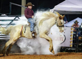 Westonwood Rodeo