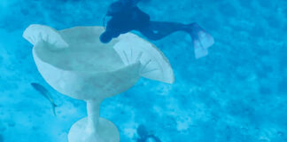 Expanded Underwater Museum