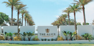 The Alice Destin